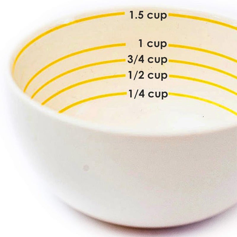 Uba Portion Control Bowl (PORCELAIN) for Measuring, Bariatric Diet, Diabetes & Healthy Eating - Image 1